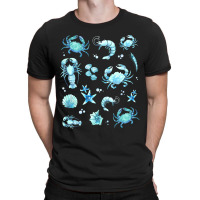 Crustacean Core Aesthetic Crustaceans Crab Lobster T-shirt | Artistshot