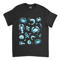 Crustacean Core Aesthetic Crustaceans Crab Lobster Classic T-shirt | Artistshot