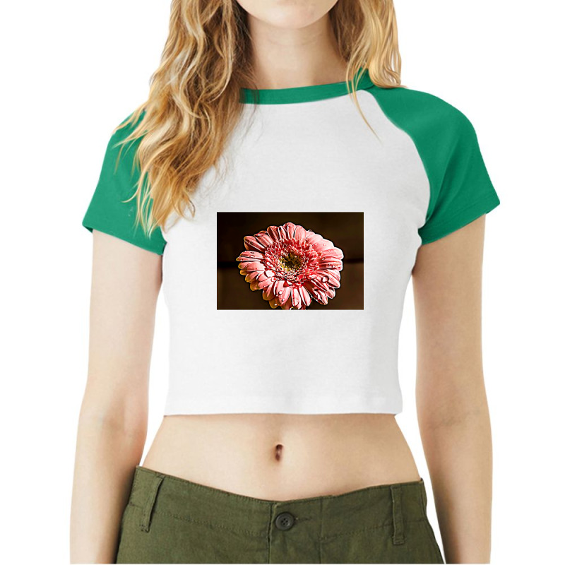 Closeup Pink Flower Vibrant Painting Raglan Crop Top by traumafemales188 | Artistshot