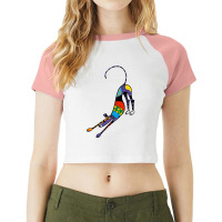 Kaleidoscope Bowdown Raglan Crop Top | Artistshot