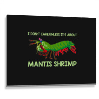 Crustacean I Dont Care Unless It’s About Mantis  Metal Print Horizontal | Artistshot