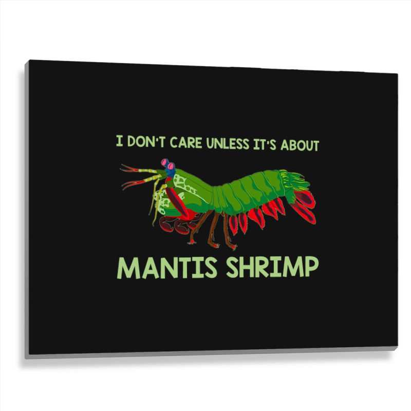 Crustacean I Dont Care Unless It’s About Mantis  Metal Print Horizontal | Artistshot