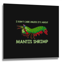 Crustacean I Dont Care Unless It’s About Mantis  Metal Print Square | Artistshot