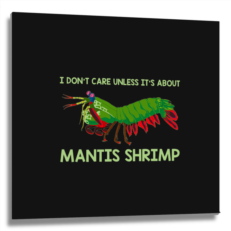 Crustacean I Dont Care Unless It’s About Mantis  Metal Print Square | Artistshot