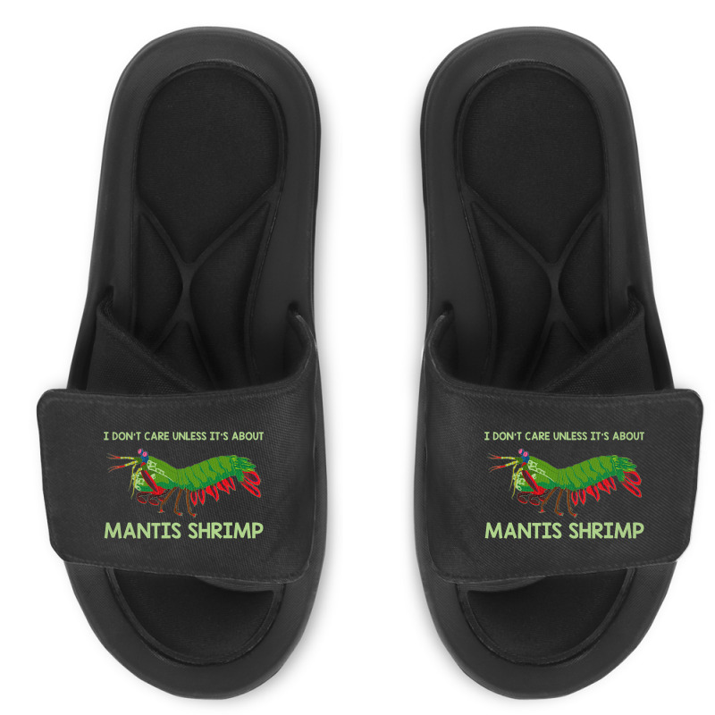 Crustacean I Dont Care Unless It’s About Mantis  Slide Sandal | Artistshot