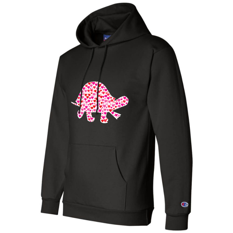 Cute Hearts Turtle Funny Animals Lover Valentines  Champion Hoodie | Artistshot