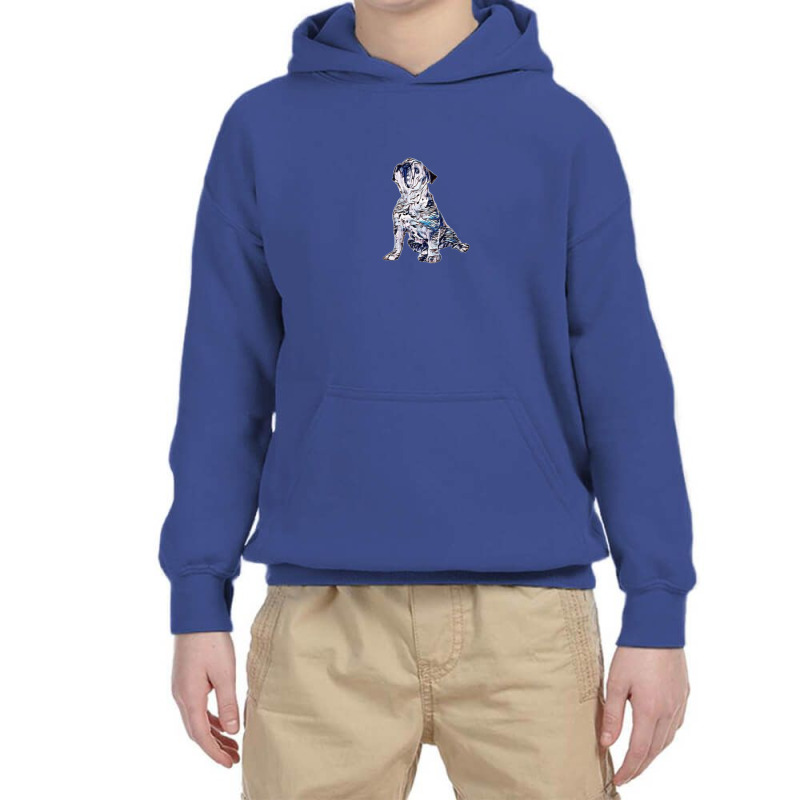 A Bulldog With A Skin Disease Youth Hoodie | Artistshot