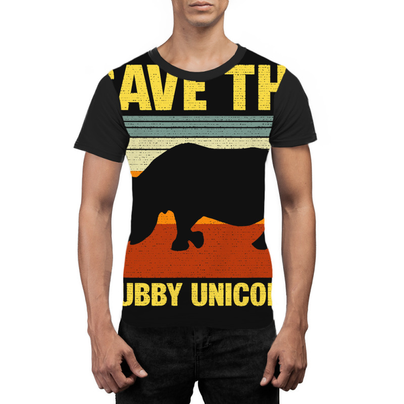 Vintage Sunset Save The Chubby Unicorns Fat Rhino Graphic T-shirt | Artistshot