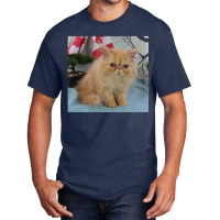 Red Tabby Persian Basic T-shirt | Artistshot