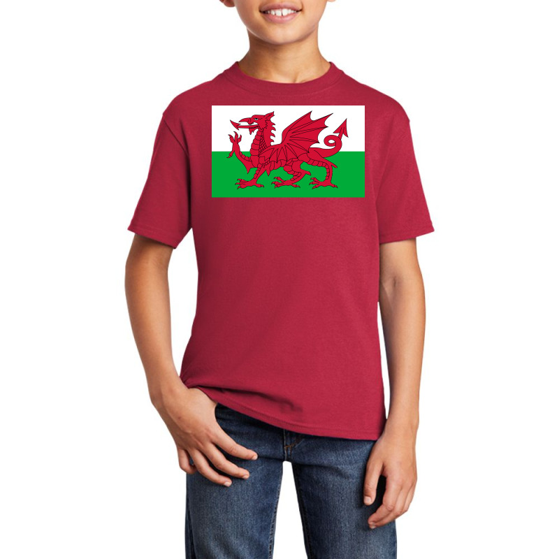 Wales National Flag Welsh Fan Bedspread Basic Youth T-shirt by PamelaAnnHarris | Artistshot