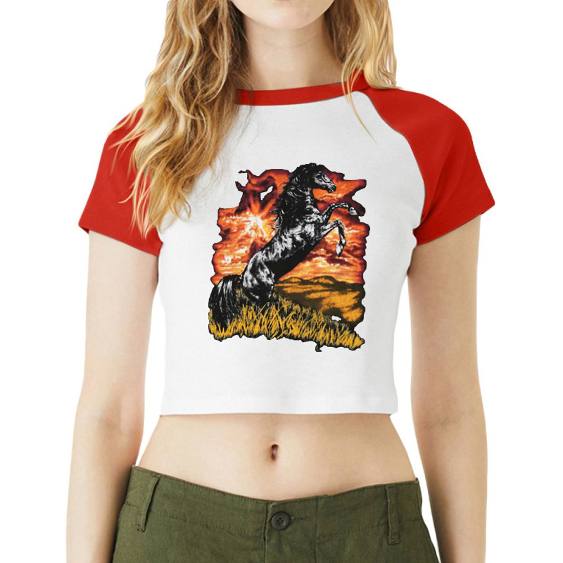 Charlie Kelly Horse Always Sunny Vintage Raglan Crop Top by teeheebattaf | Artistshot