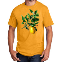 Lime Flower And Lemon, Lime Flower Lemon, Lemon, Lime Flower, Lime, Fl Basic T-shirt | Artistshot