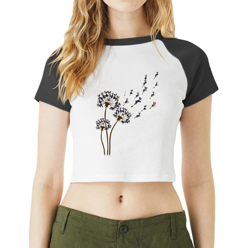 Boston Terrier Flower Fly Dandelion Boston Terrier Raglan Crop Top by yucalsye | Artistshot