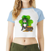 St Patricks Day Staffordshire Bull Terrier Shamroc Raglan Crop Top | Artistshot