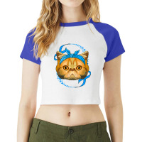 Exotic Shorthair Diabetes Awareness Cat Blue T1d S Raglan Crop Top | Artistshot