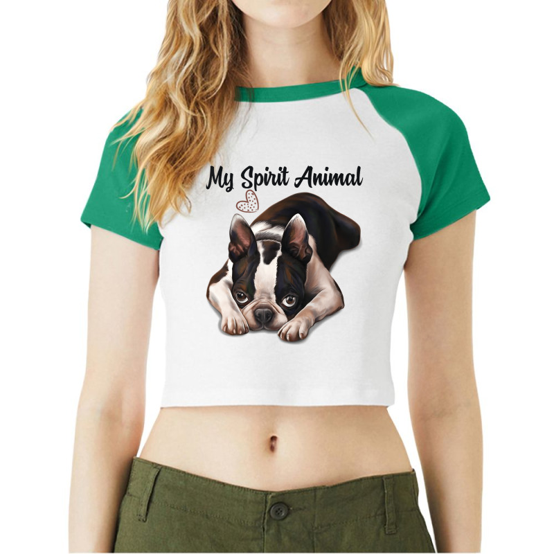 Boston Terrier Gift, Spirit Animal, Boston Terrier Raglan Crop Top by imelde | Artistshot