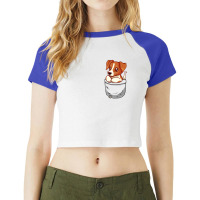 Pocket Cute Jack Russell Terrier Raglan Crop Top | Artistshot