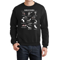 Skunks Of The World 2skunk Lover Zookeeper Zoologi Crewneck Sweatshirt | Artistshot