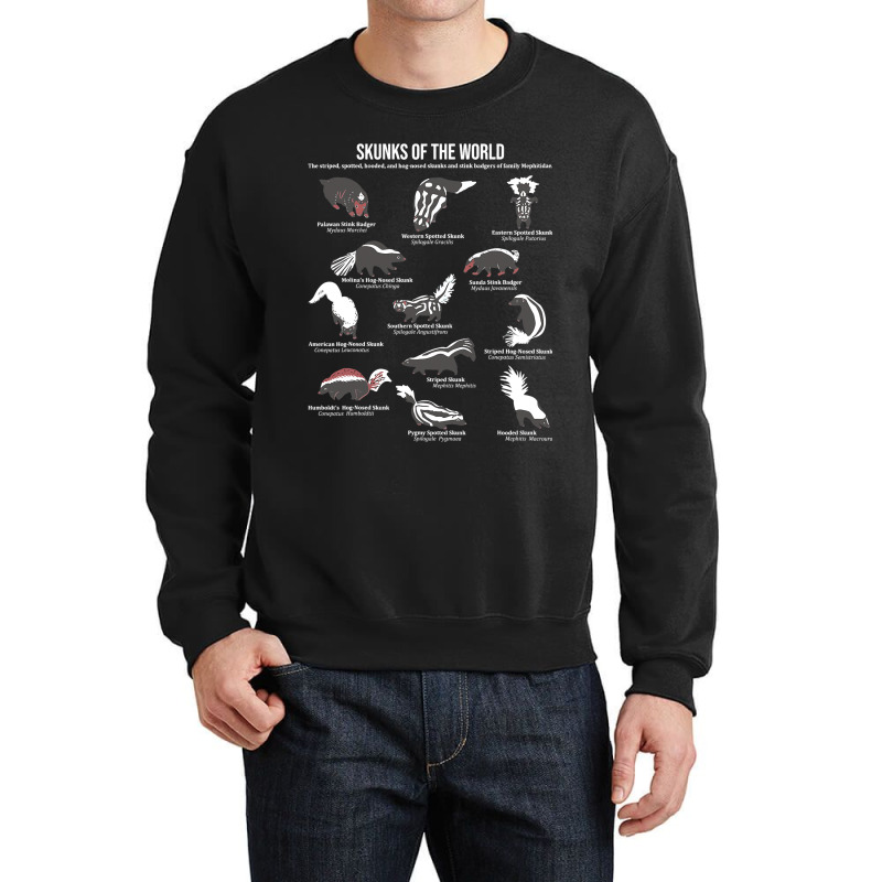 Skunks Of The World 2skunk Lover Zookeeper Zoologi Crewneck Sweatshirt by MaximilianoMonroe | Artistshot