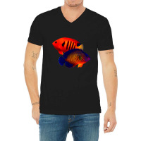 Saltwater Dwarf Angelfish Flame Angel Coral Beauty V-neck Tee | Artistshot