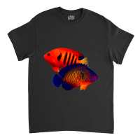 Saltwater Dwarf Angelfish Flame Angel Coral Beauty Classic T-shirt | Artistshot