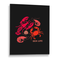 Sea Life Lobster Crab Shrimp And Clams Ocean Seafo Metal Print Vertical | Artistshot