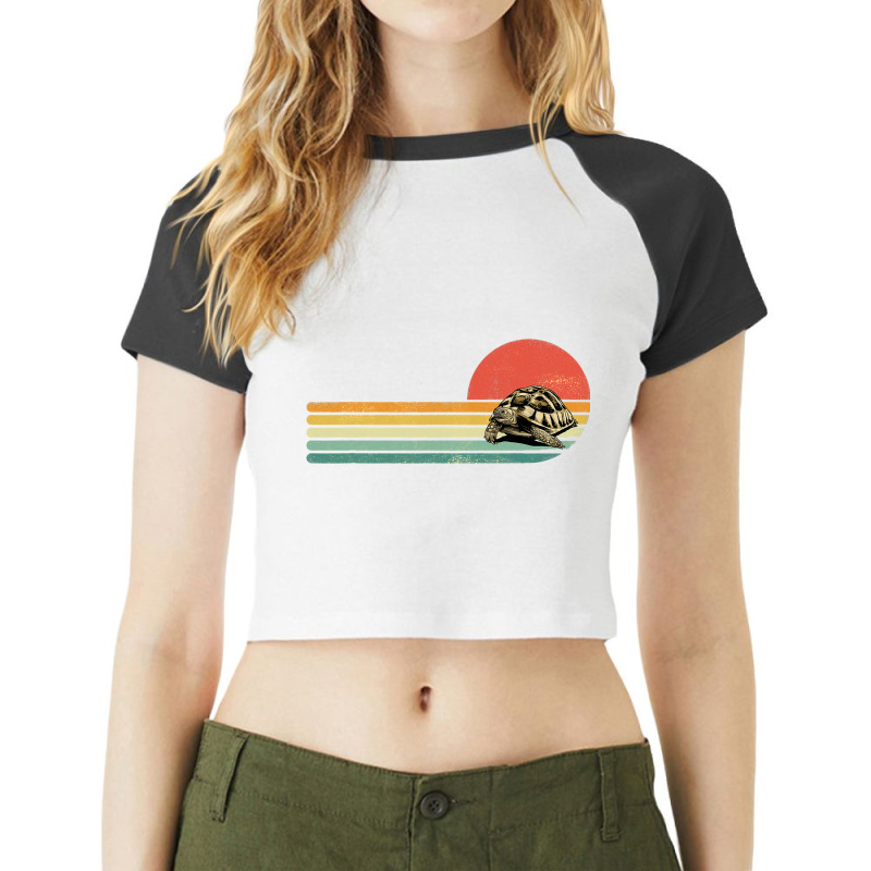 Retro Vintage Sea Turtle Tortoise Ocean Marine Ani Raglan Crop Top by KYERRAREED | Artistshot