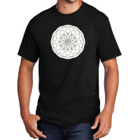 Platonic Solids Building Blocks Of Life Mathematics Geometry 11739281 Basic T-shirt | Artistshot