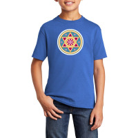 Platonic Solids Building Blocks Of Life Mathematics Geometry 120494241 Basic Youth T-shirt | Artistshot