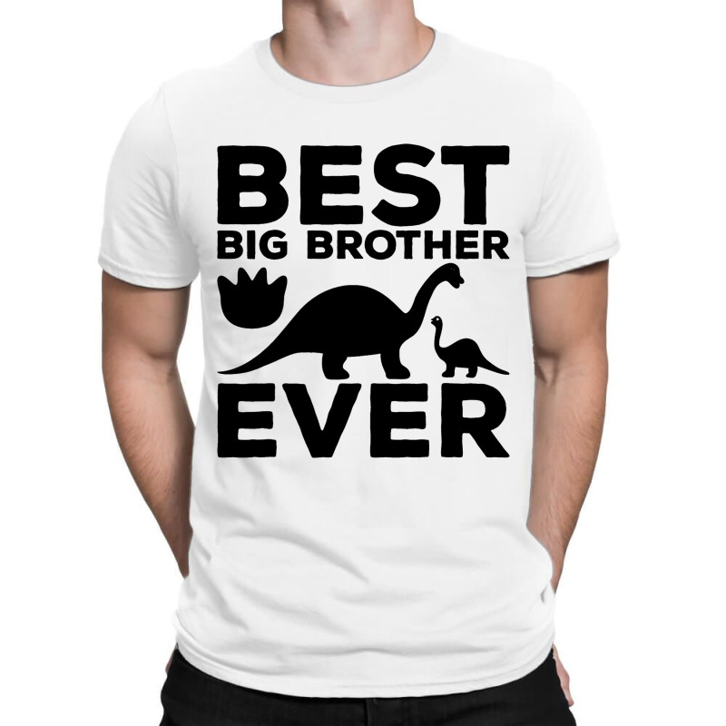 Sibling Dinosaur Trex Humor Best Big Brother Ever  T-shirt | Artistshot