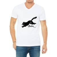 Salem Black Cat Vintage Witchy Mystical V-neck Tee | Artistshot