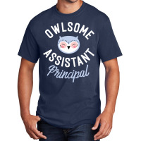 Owlsome Assistant Principal Pun Funny Gift Idea Basic T-shirt | Artistshot