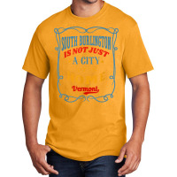 South Burlington Is Not Just A City South Burlington Vermont T Shirt Basic T-shirt | Artistshot