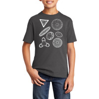 Diatoms Beautiful Science Basic Youth T-shirt | Artistshot