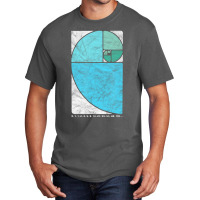 Vintage Fibonacci Sequence Golden Ratio Spiral Numbers Basic T-shirt | Artistshot