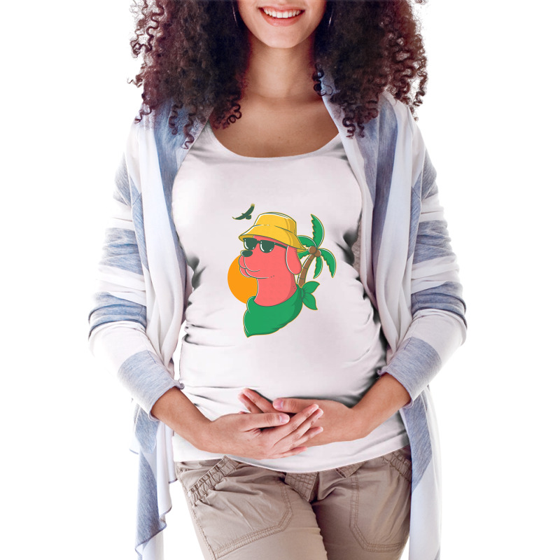 Summer Dog Maternity Scoop Neck T-shirt | Artistshot