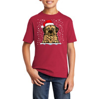 Womens Anatolian Shepherd Dog Christmas Santa Hat Matching Family V Ne Basic Youth T-shirt | Artistshot