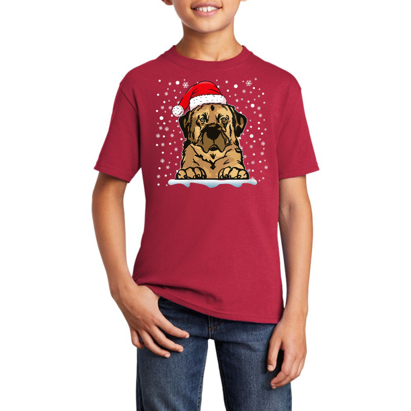 Womens Anatolian Shepherd Dog Christmas Santa Hat Matching Family V Ne Basic Youth T-shirt by cm-arts | Artistshot