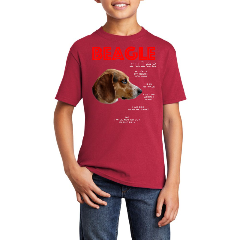 Rules For The Owner Of A Beagle Basic Youth T-shirt by cm-arts | Artistshot