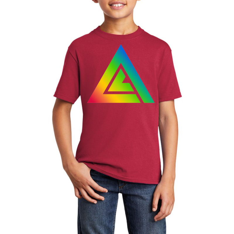 Amd Avid Audiovisual Identity Database Basic Youth T-shirt | Artistshot