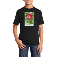 Vintage Mrs John-laing Roses Flower Botanical Specimen Basic Youth T-shirt | Artistshot