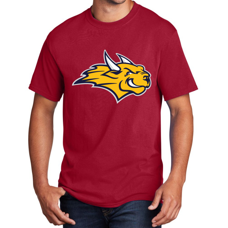 Webster University Basic T-shirt | Artistshot