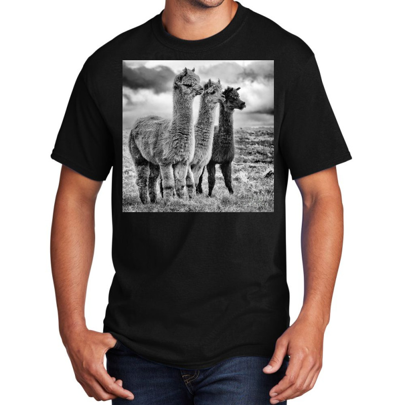 Lama Lineup Basic T-shirt | Artistshot