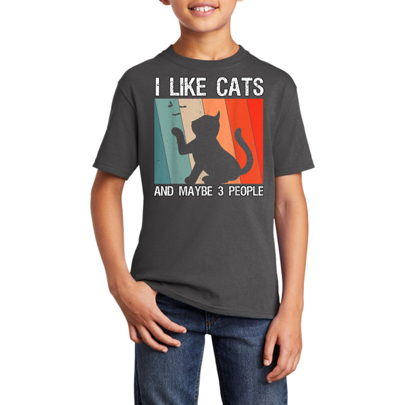 I Like Cats And Maybe 3 People Cats T Shirt Basic Youth T-shirt by cordellwerw56r | Artistshot