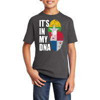 Burmese And Panamanian Mix Heritage Dna Flag Basic Youth T-shirt | Artistshot