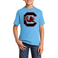 The Carolina Gamecocks Basic Youth T-shirt | Artistshot