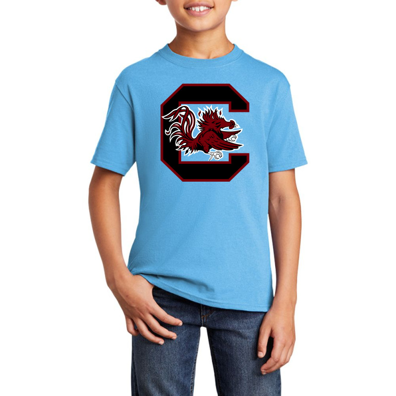 The Carolina Gamecocks Basic Youth T-shirt by Mary R James | Artistshot