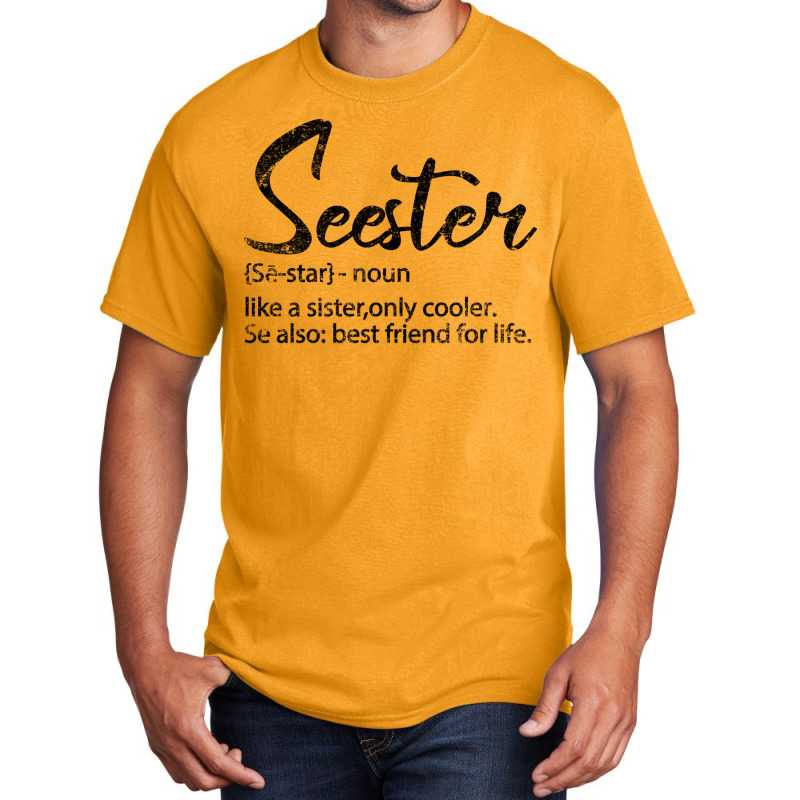 Seester Definition Funny Sister Best Friend For Li Basic T-shirt by kolovafacee | Artistshot