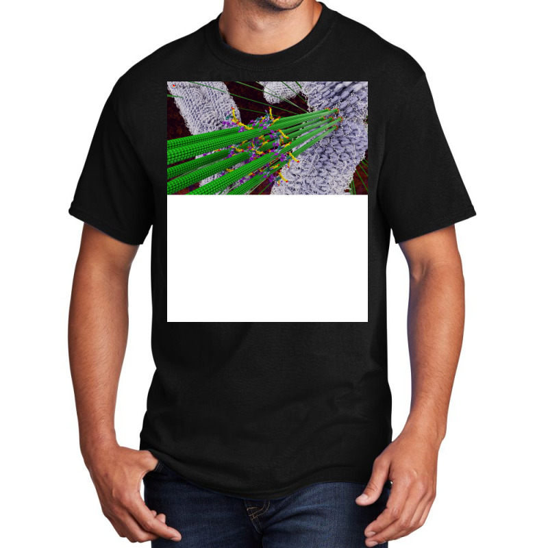 Microtubules During Mitosis Humor Basic T-shirt by boyzenpragp | Artistshot