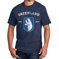 Vintage Coat Of Arms Greenland T Shirt Basic T-shirt | Artistshot